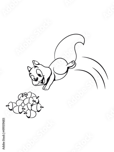 Eichhörnchen nüsse nuss 