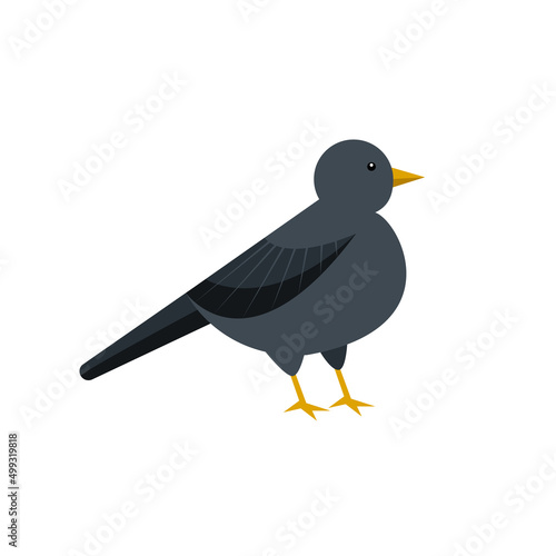 Cute blackbird. Childish vector illustration in flat style © Daria