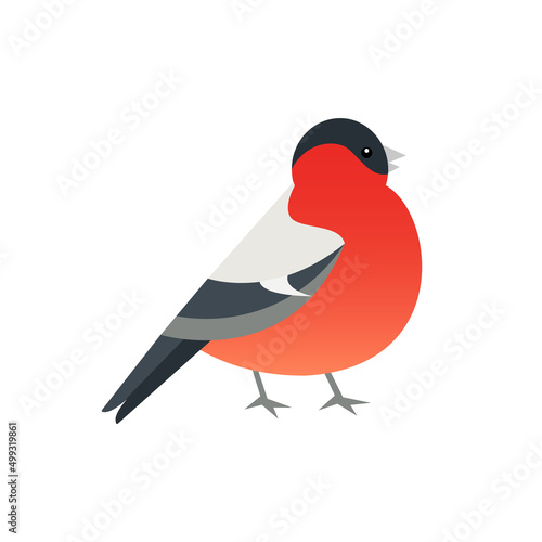 Chubby bullfinch bird. Hand drawn vector illustration in flat style