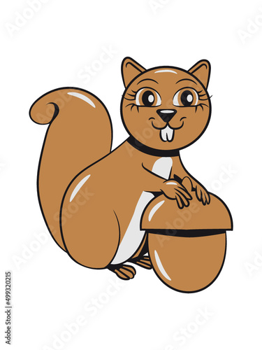 Eichhörnchen nüsse nuss 