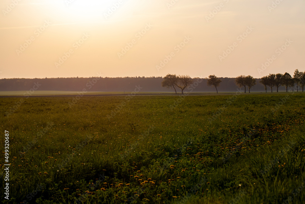 Obraz premium beautiful sky of warm orange colors during sunset