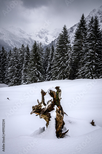 Berglandschaft in Vorarlberg