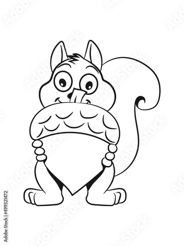 Eichhörnchen nüsse nuss 
