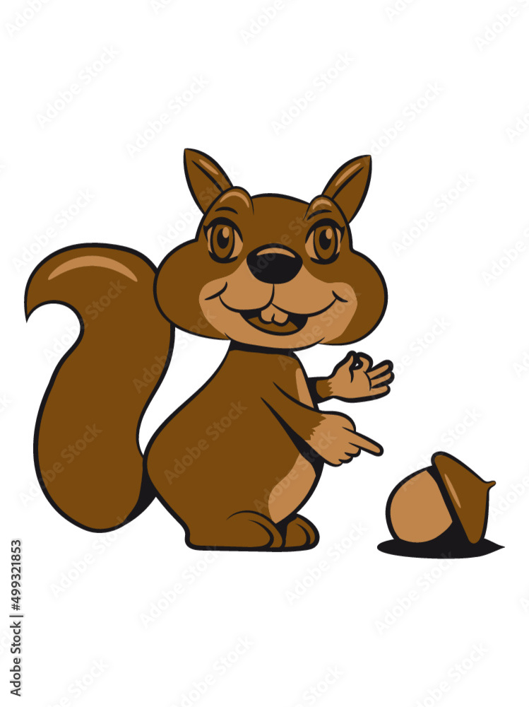 Eichhörnchen nüsse nuss Eichhörnchen nüsse nuss