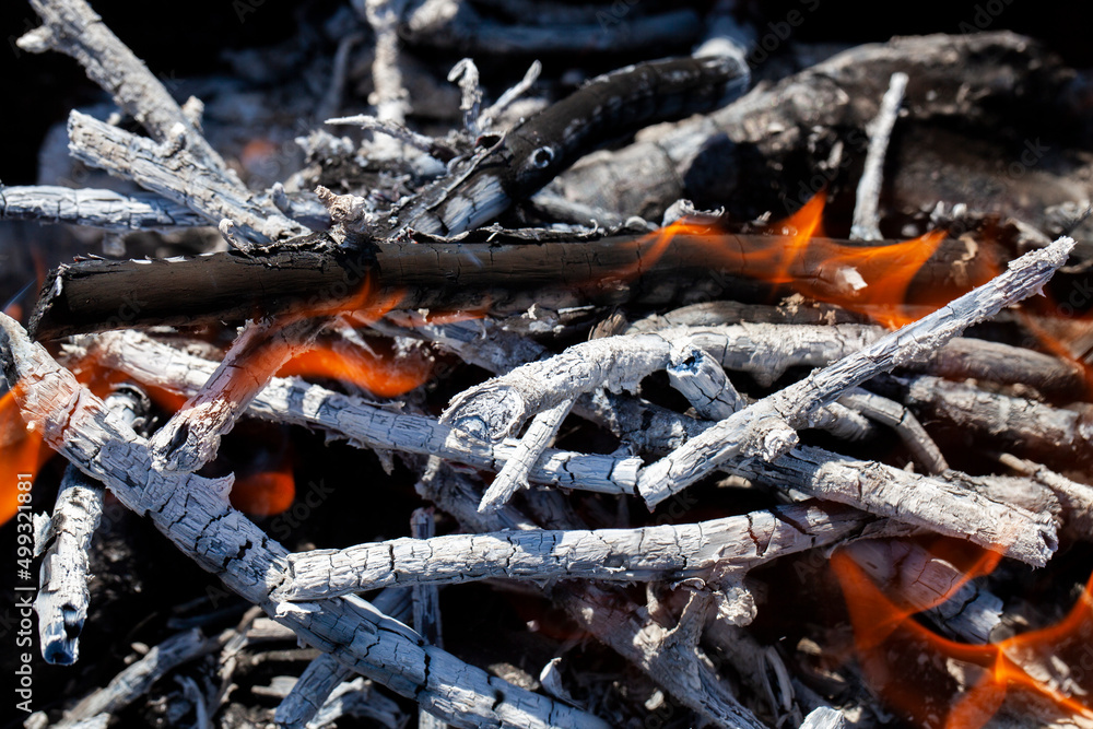 orange flame of fire while burning branches and firewood orange flame of fire while burning branches and firewood
