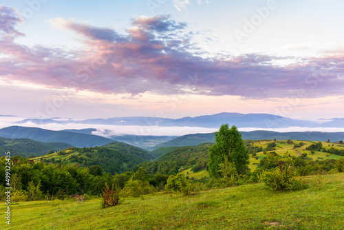 countryside landscape at dawn. grassy meadows, rural fields and forested slopes on hills rolling off in to the distant valley full of fog. warm summer weather with clouds on the sky in morning light