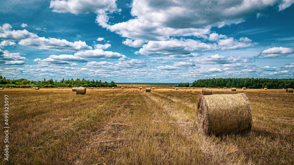 a field with straw bales