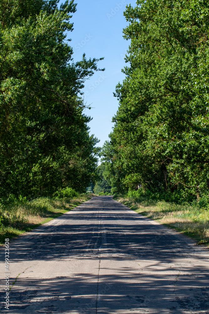 an empty paved road in the countryside an empty paved road in the countryside