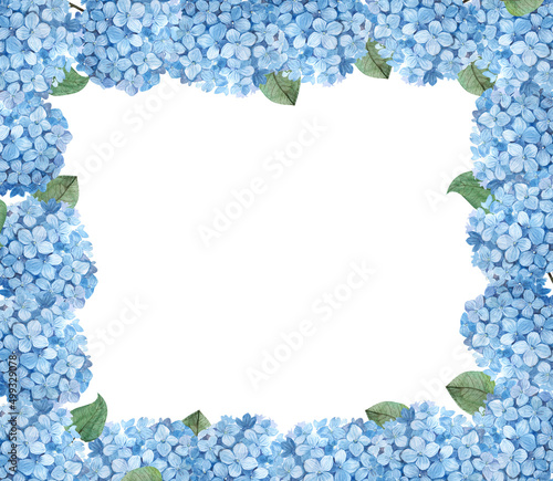 Floral frame, watercolor blue hydrangea isolated on a white background, perfect background for holiday and wedding invitations and postcards