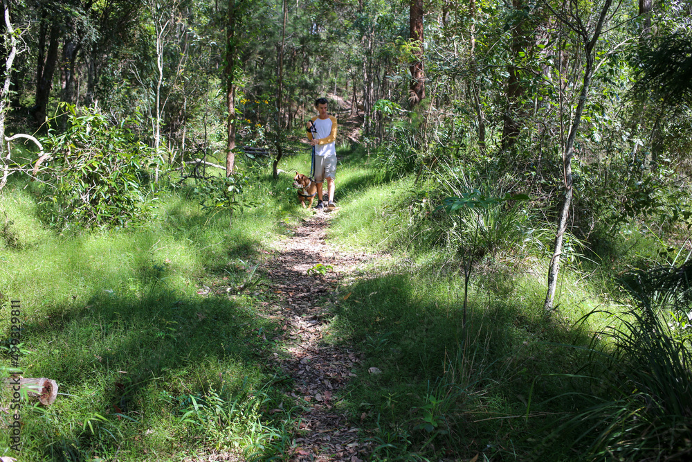 Man and Bulldog Hiking Through Green Forest Track