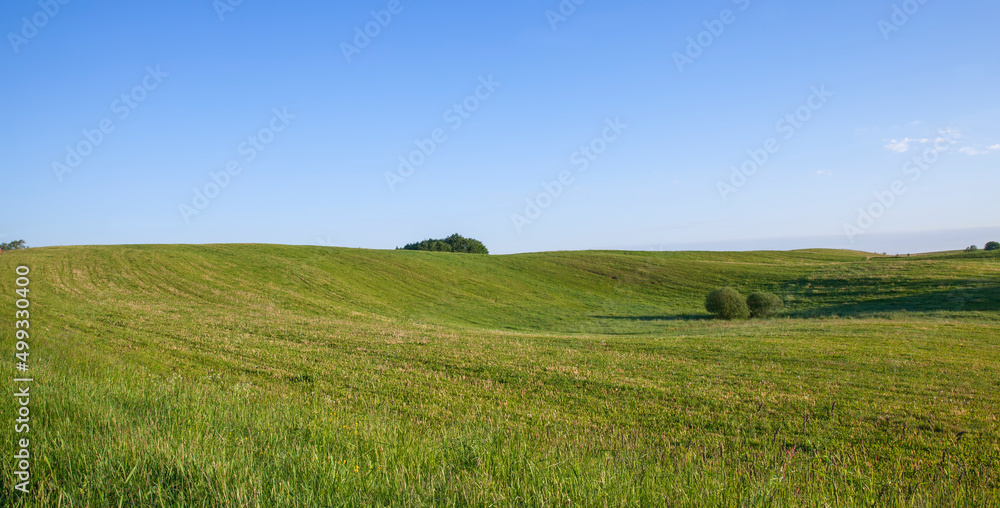 landscape with hilly territory with plants