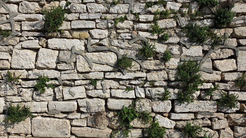 Limestone Wall Stone plants