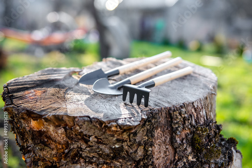 small gardening tools for gardening and caring for plants at home and in the garden.