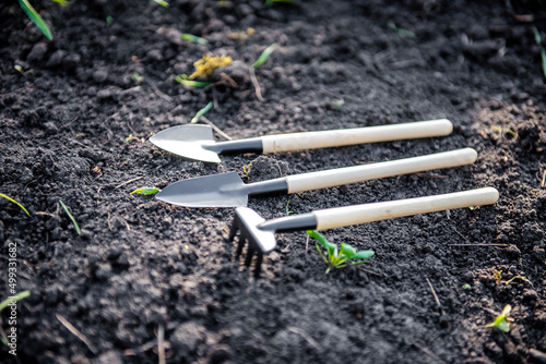 small gardening tools for gardening and caring for plants at home and in the garden.