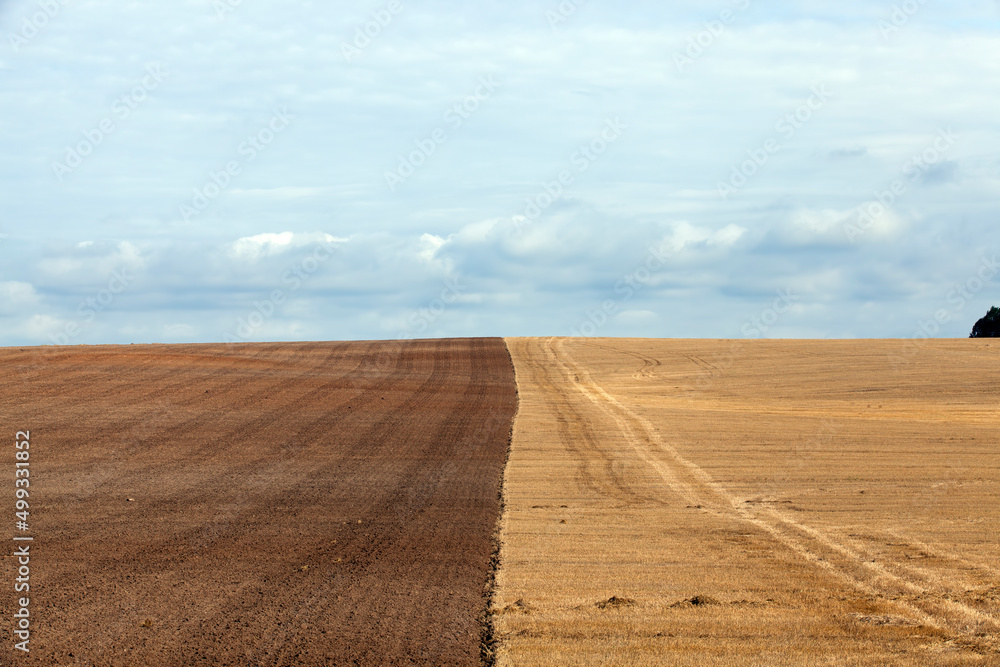tillage in the agricultural field for planting a new crop tillage in the agricultural field for planting a new crop