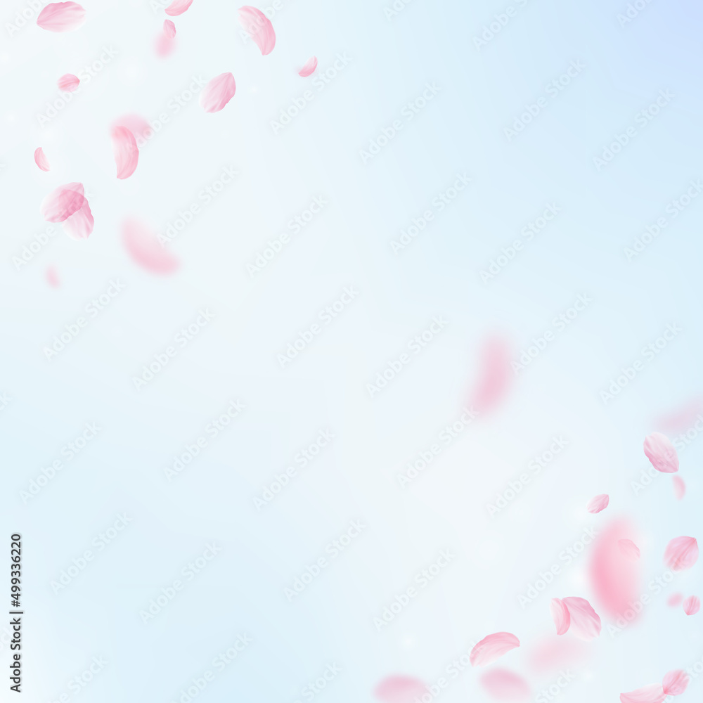 Sakura petals falling down. Romantic pink flowers corner. Flying petals on blue sky square background. Love, romance concept. Vibrant wedding invitation.