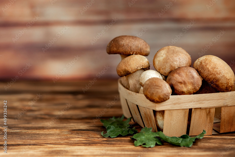 Mushroom Boletus over Wooden Background. Autumn Cep Mushrooms. Ceps Boletus edulis over Wooden Background, close up on wood rustic table. Cooking delicious organic mushroom. Gourmet food Mushroom Boletus over Wooden Background. Autumn Cep Mushrooms. Ceps Boletus edulis over Wooden Background, close up on wood rustic table. Cooking delicious organic mushroom. Gourmet food