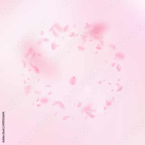 Sakura petals falling down. Romantic pink flowers frame. Flying petals on pink square background. Love, romance concept. Posh wedding invitation.