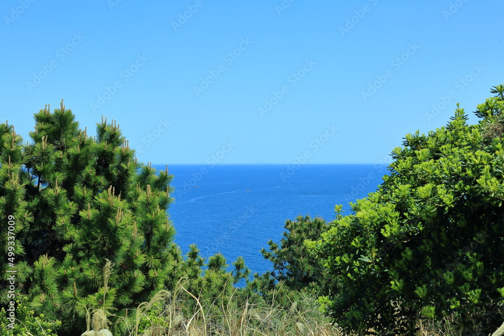 Obraz premium 맑은 날씨속 시원한 바다