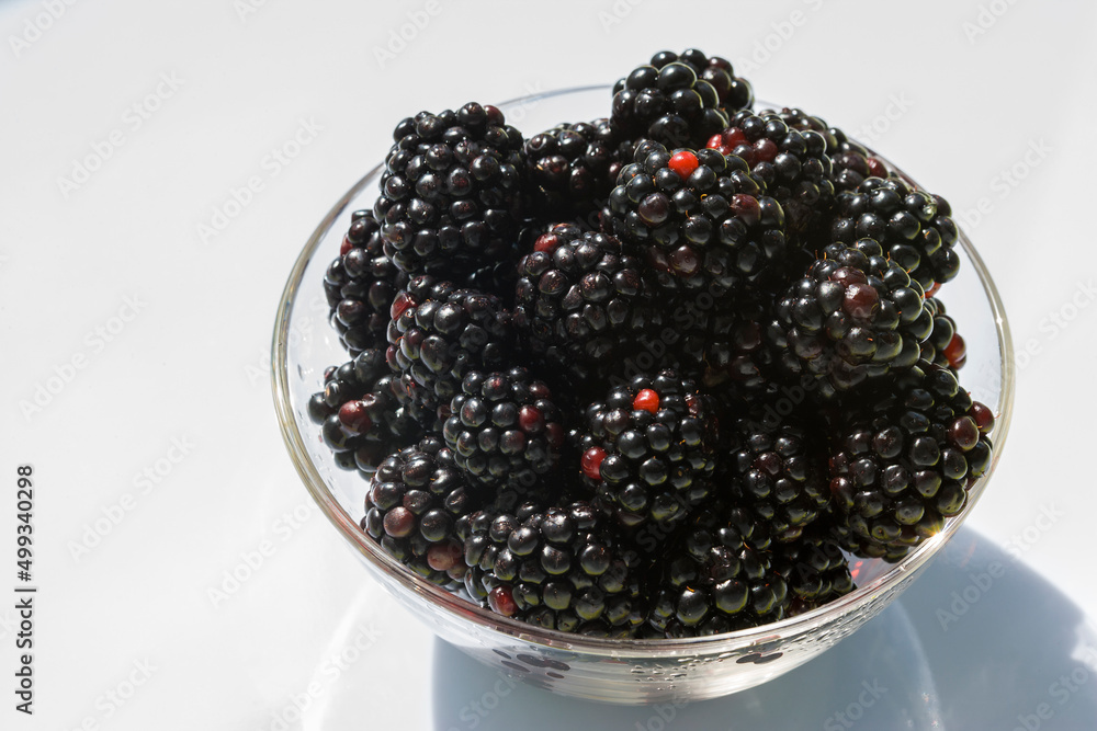 Blackberries in a glass bowl Blackberries in a glass bowl