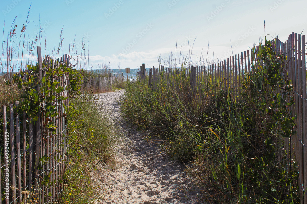 Sandy Path to the Beach Sandy Path to the Beach