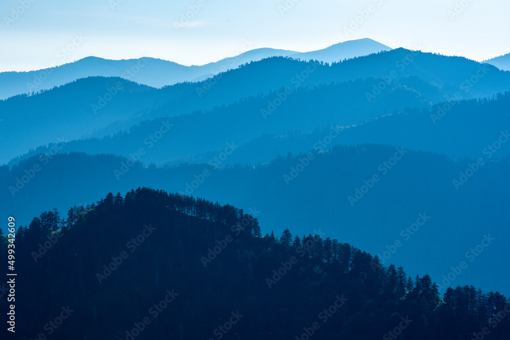Blue Morning Light Over Tree Filled Ridges In Great Smoky Mountains