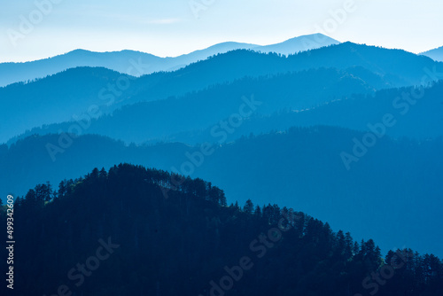 Blue Morning Light Over Tree Filled Ridges In Great Smoky Mountains