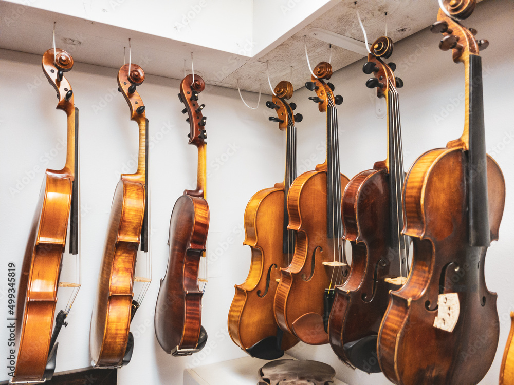 Stringed instruments hang from the ceiling and walls in an instrument