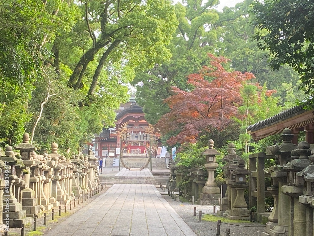Fototapeta premium 石清水八幡