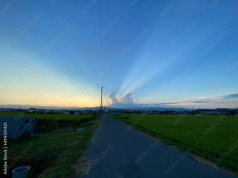 Fototapeta premium 夜明け