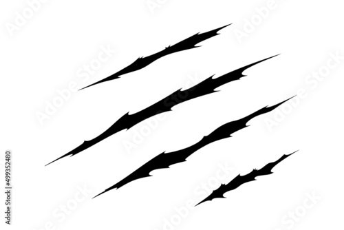 Claw scratches of wild animal. Cat scratches marks isolated in white background. Monochrome vector illustration