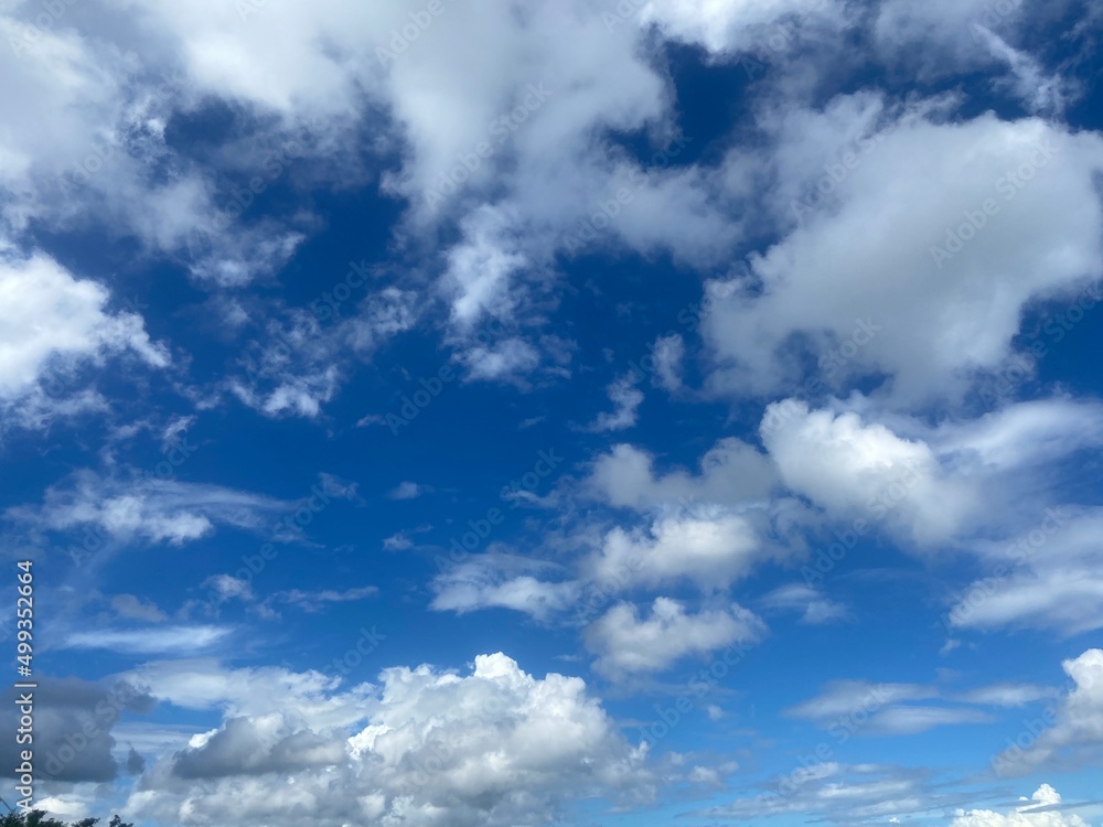 Obraz premium 比叡山