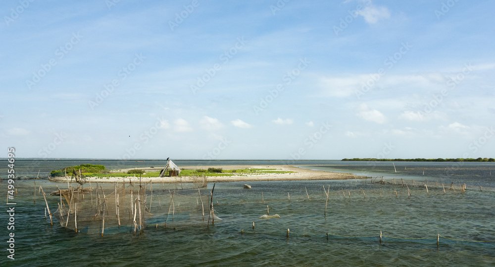 Fototapeta premium Traps for catching prawns, Sri Lanka