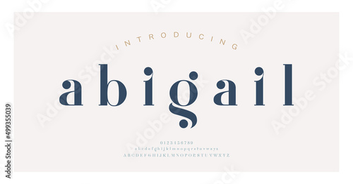 Elegant alphabet letters font and number. Classic Lettering Minimal Fashion Designs. Typography modern serif fonts decorative vintage concept. vector illustration