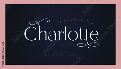Elegant wedding alphabet letters font and number. Typography uxury classic lettering serif fonts decorative vintage retro concept. vector illustration