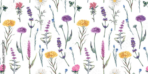 Watercolor hand drawn seamless pattern with illustration of wild flowers. Floral elements clover, lavender, herbs isolated on white background. Beautiful meadow flowers collection © rom-anni