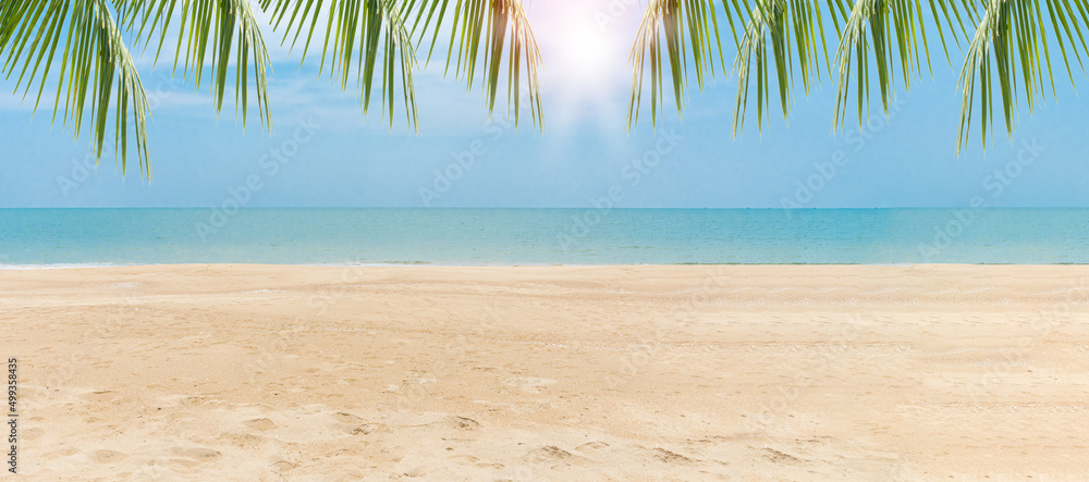Green leaves of Palm coconut trees against blue sky and beautiful beach on  day. View with