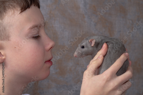 Pet rat kisses his teenage Caucasian boy friend, love and friendship with pet gray rodent