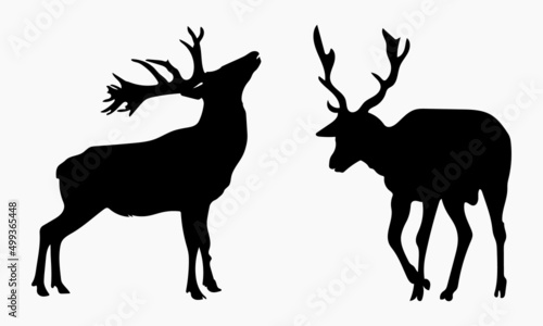 Collection of deer silhouettes set on white background
