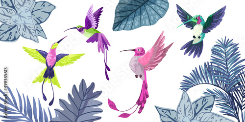 Set of four hummingbirds, hand drawn vector