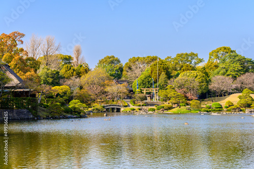 日本庭園「桜咲く観光名所風景」水前寺成趣園
Japanese garden 