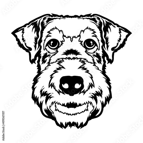Airedaile Terrier face vector illustration in hand drawn style, perfect for tshirt design and mascot logo
