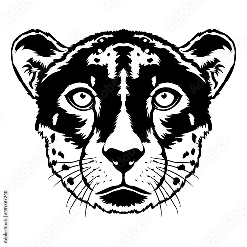 Cheetah face vector iilustration in hand drawn style, perfect for tshirt and mascot design