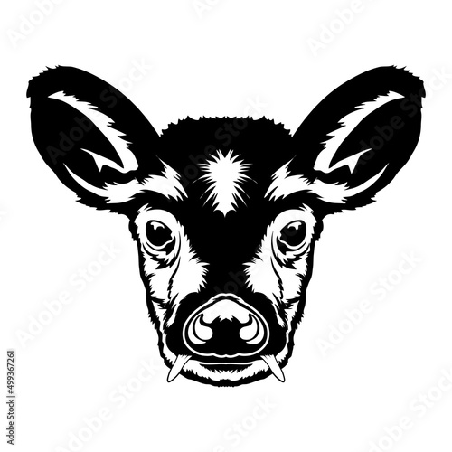 Tufted deer face vector iilustration in hand drawn style, perfect for tshirt and mascot design  photo