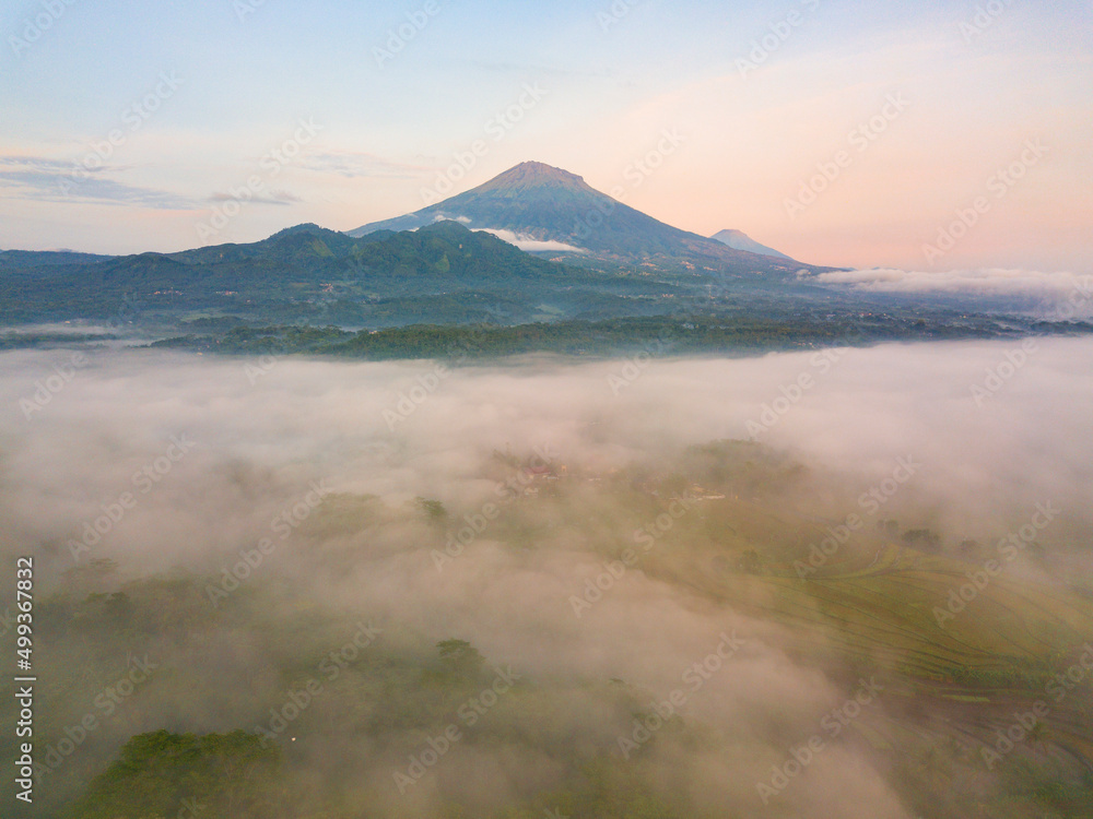 The mist in the morning covered the plains so that the trees were obscured.  Seen the view of Mount Sumbing in the distance