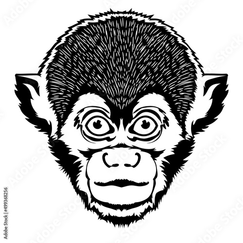 Squirel monkey face vector iilustration in hand drawn style, perfect for tshirt and mascot design