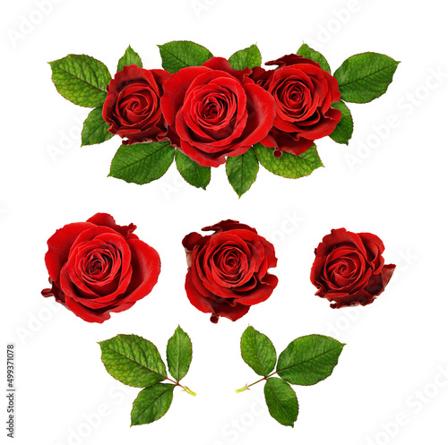 Red rose flowers in a floral arrangement photo