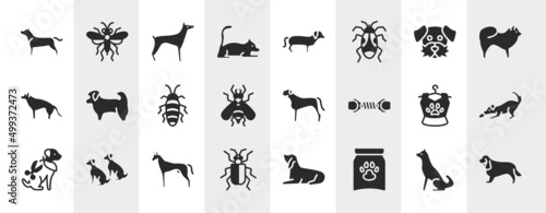 dog breeds fullbody filled icons set. editable glyph icons such as american staffordshire terrier, laying cat, dog moustache, shih tzu, bullmastiff, dogs playing, pharaoh hound, treat vector. © VectorStockDesign