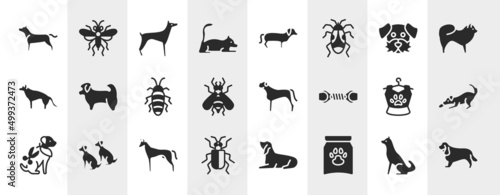 dog breeds fullbody filled icons set. editable glyph icons such as american staffordshire terrier, laying cat, dog moustache, shih tzu, bullmastiff, dogs playing, pharaoh hound, treat vector.