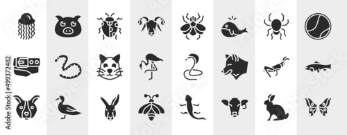 free animals filled icons set. editable glyph icons such as swimming jellyfish, ram, poisonous spider, earth worm, poisonous cobra, big salmon, kangaroo head, cow head vector.